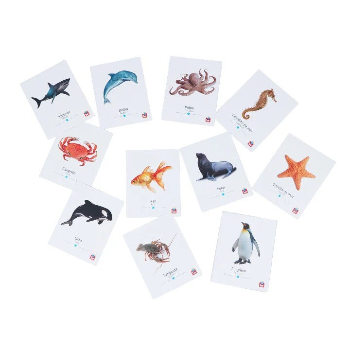 Flash cards water animals