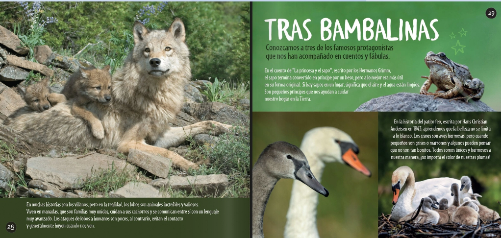 Cucú - Había una vez