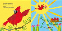 Pájaros