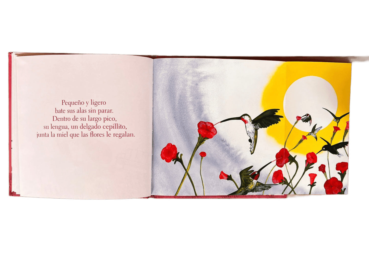 ¿Para qué usas la lengua?