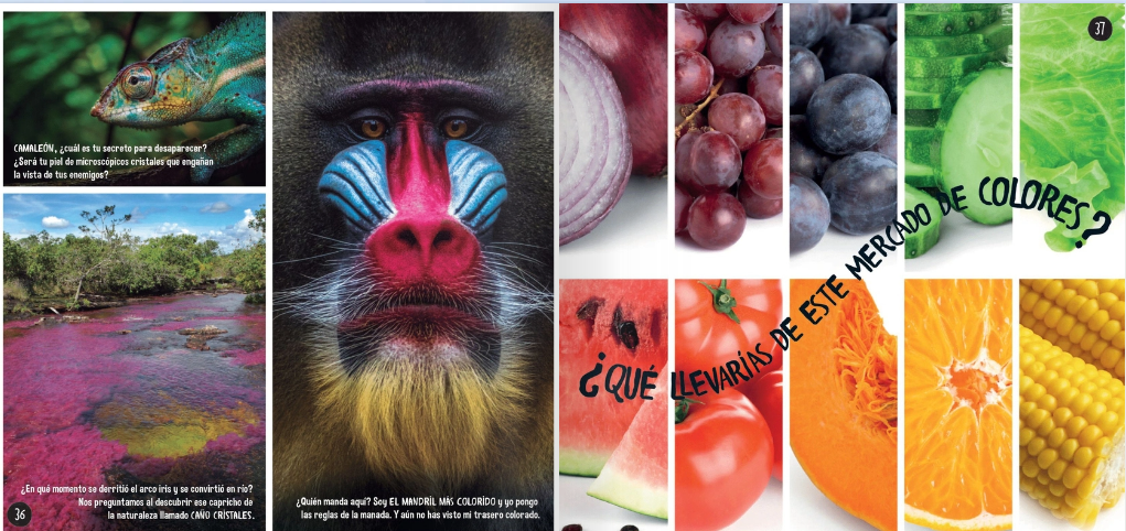 Cucú - A todo color