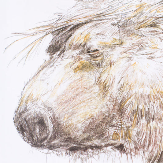 Martin and the first snow