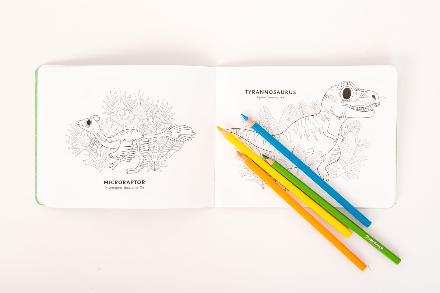 ¡Roar!. Para colorear